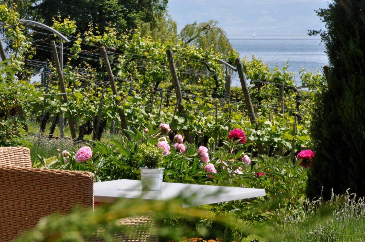 Appartementhotel Roehrenbach Immenstaad am Bodensee Exterior photo