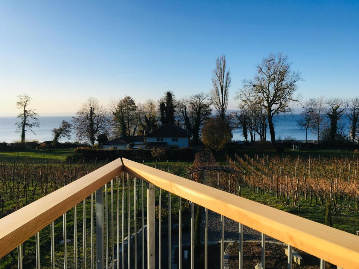 Appartementhotel Roehrenbach Immenstaad am Bodensee Exterior photo